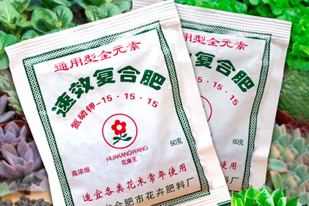 兰花专用肥有哪些