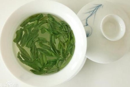 君子兰可以浇茶叶水吗