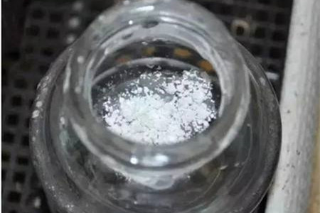 夏天水养绿萝生蚊子解决办法