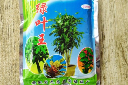 龟背竹喜欢什么肥料