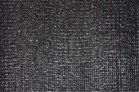 龟背竹夏天怎么养