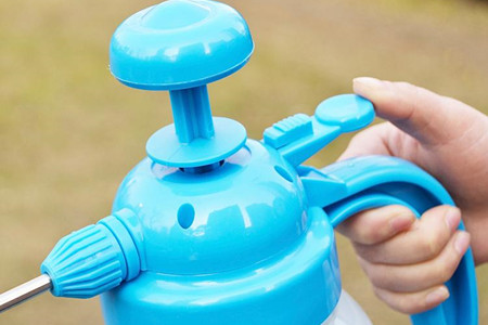 怎么消灭绿萝的小飞虫