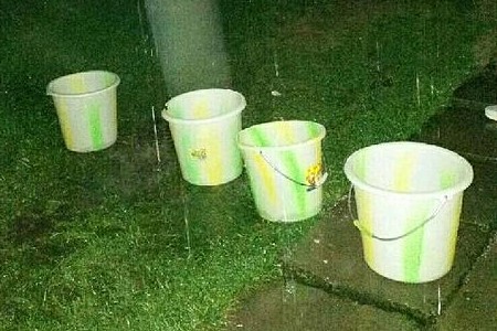 虎皮兰怎么浇水