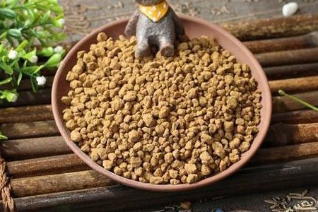 虎皮兰怎么浇水