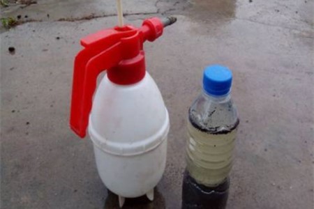 平安树用什么肥料好