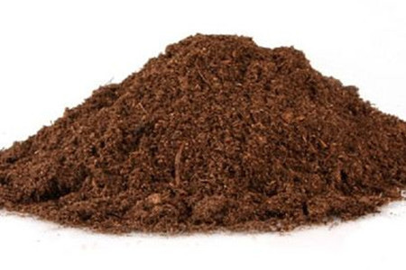 白掌用什么土养好