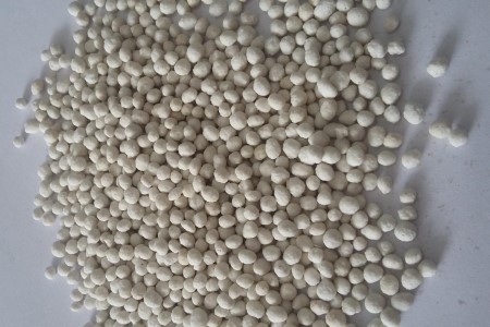 白掌施什么肥好