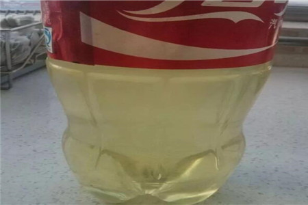 白掌可以浇啤酒吗