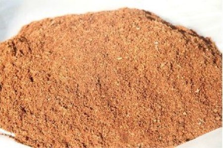 红掌用什么土最好