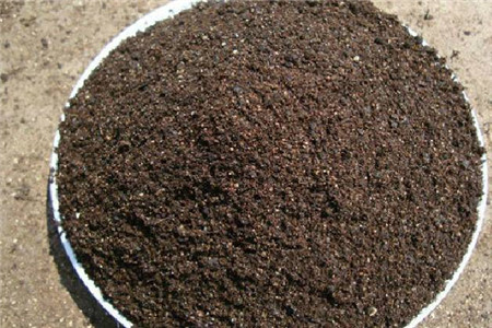 红掌用什么土最好