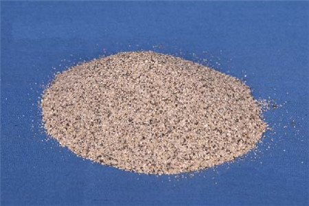 红掌种子种植办法