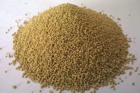 马蹄莲施什么肥最好