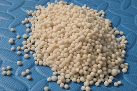 怎么样让马蹄莲多开花