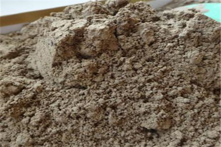 马蹄莲怎么分株