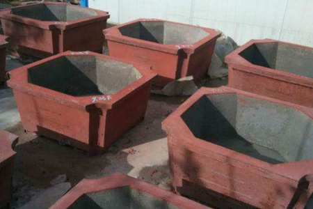 红豆杉怎么样繁殖