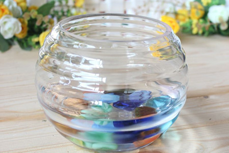 豆瓣绿怎么样水培