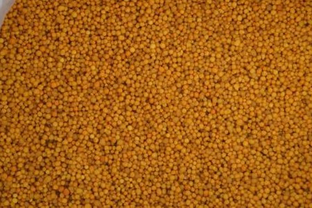 栀子花用什么肥料好