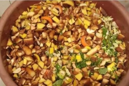 栀子花用什么肥料好