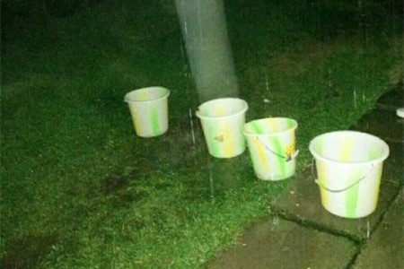 栀子花怎么浇水