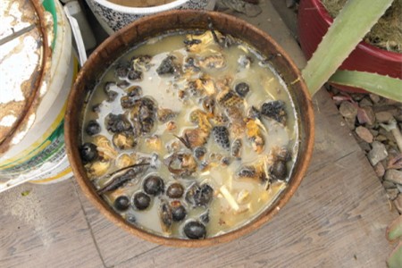 海棠花施什么肥好