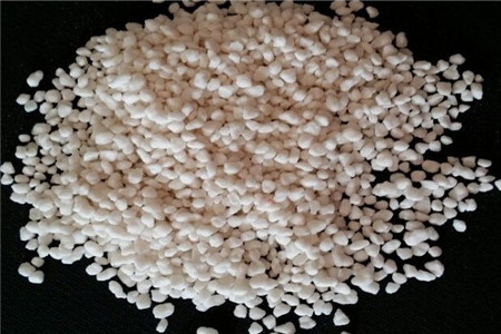 海棠花什么时候开花