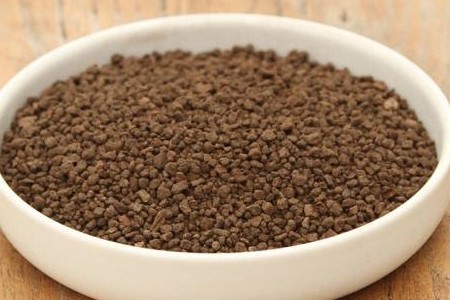 生石花种子怎么播种