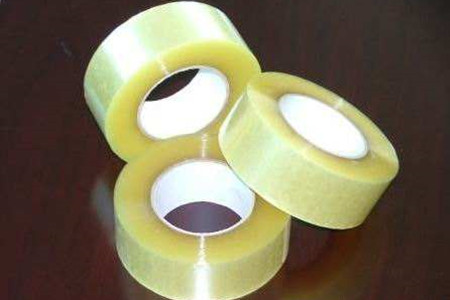 熊童子叶子脏了解决办法