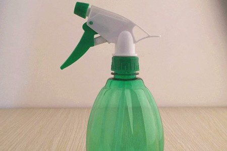 熊童子叶子脏了解决办法