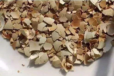 蔷薇1年开几次花