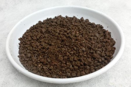 风信子用什么土养好