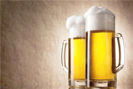 橡皮树可以用啤酒浇吗