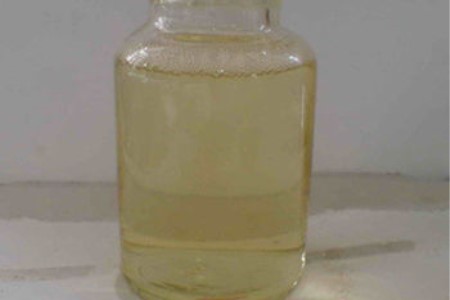 常青藤的养殖办法