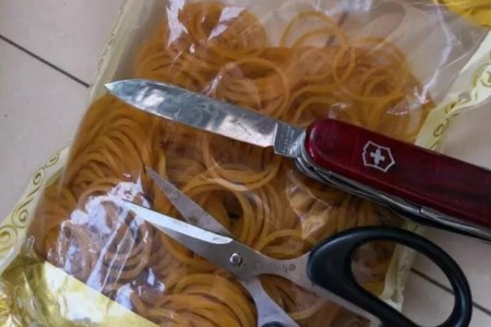 沙漠玫瑰怎么嫁接