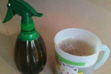 花叶络石怎么养
