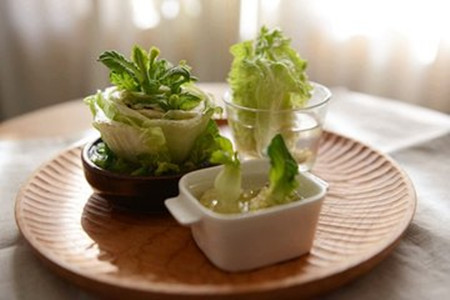 饮料瓶水培蔬菜办法