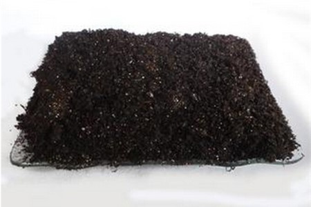 蔷薇花的养殖办法