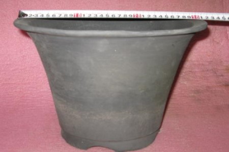 兰花种植办法