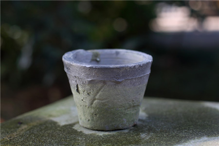盆栽苹果树怎么养