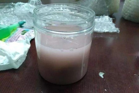 凤尾竹怎么养