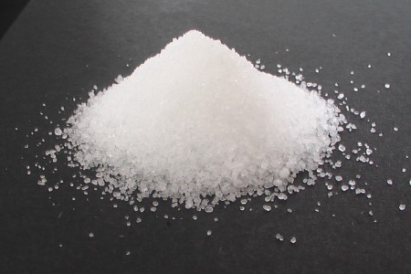 仙人掌怎么养才能开花