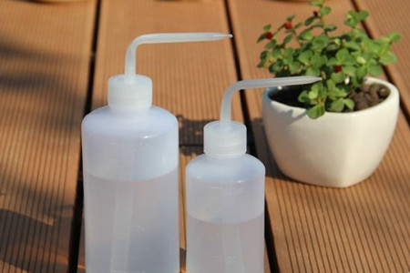 夏天怎么养肉肉