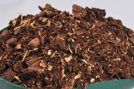 石斛的养殖办法