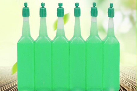 水培富贵竹怎么养才能旺盛