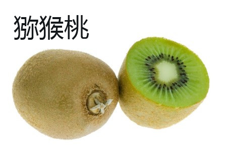 猕猴桃和奇异果的区别
