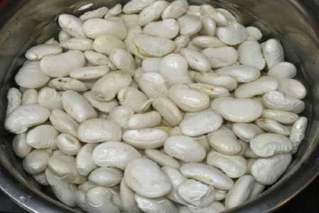 养花用什么肥料长得快