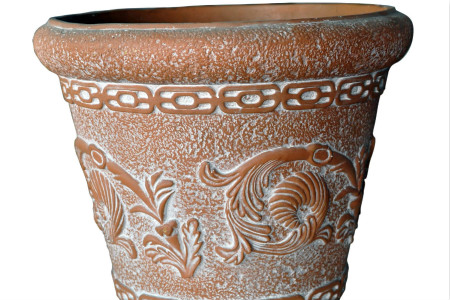 种朱顶红用什么花盆