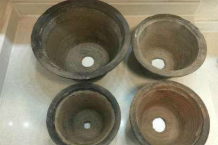 种朱顶红用什么花盆