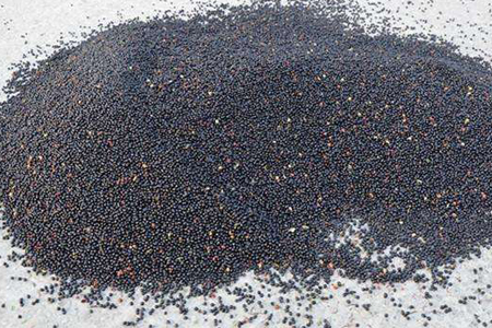 龟背竹怎么过冬