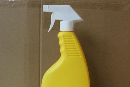 红掌叶子发黄焦边干枯是什么问题