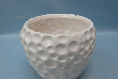 家庭怎么养荷花